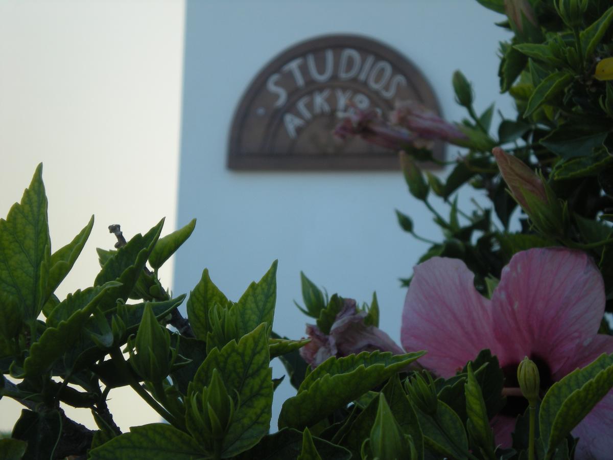 Studios Αγκυρα Livadi  Exterior foto
